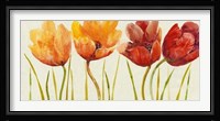 Row of Tulips I Fine Art Print