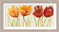 Row of Tulips I Fine Art Print