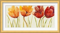 Row of Tulips I Fine Art Print