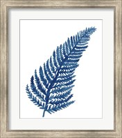 Indigo Botanica IV Fine Art Print