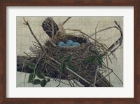 Nesting II Fine Art Print