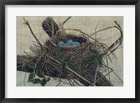 Nesting II Fine Art Print