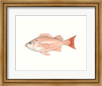 Watercolor Deep Sea Fish I Fine Art Print