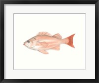 Watercolor Deep Sea Fish I Fine Art Print