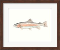 Watercolor Deep Sea Fish II Fine Art Print