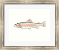 Watercolor Deep Sea Fish II Fine Art Print