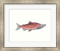 Watercolor Deep Sea Fish III Fine Art Print