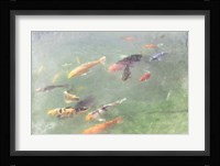 Koi Reflections I Fine Art Print