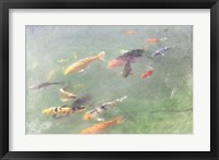 Koi Reflections I Fine Art Print