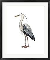 Sea Bird I Fine Art Print