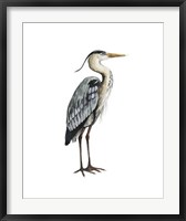 Sea Bird V Fine Art Print
