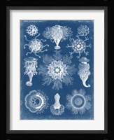 Marine Blueprint I Fine Art Print