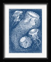 Marine Blueprint II Fine Art Print