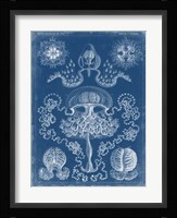 Marine Blueprint IV Fine Art Print