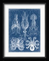 Marine Blueprint V Fine Art Print