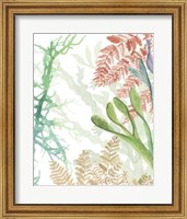 Woven Seaplants I Fine Art Print
