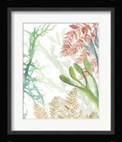 Woven Seaplants I Framed Print