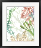 Woven Seaplants I Fine Art Print
