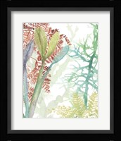 Woven Seaplants II Framed Print