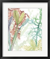Woven Seaplants II Fine Art Print