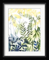 Layered Blooms II Framed Print