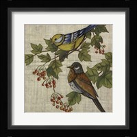 Hanover Birds I Framed Print