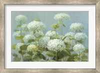 White Hydrangea Garden Fine Art Print