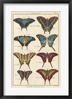 Histoire Naturelle Butterflies VI Fine Art Print