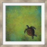 Slow and Steady Fine Art Print