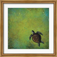 Slow and Steady Fine Art Print