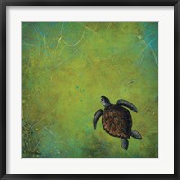 Slow and Steady Fine Art Print