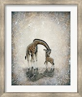 My Love for You - Giraffes Fine Art Print