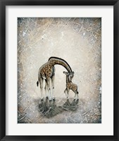 My Love for You - Giraffes Fine Art Print