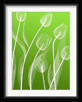 Floral Silhouette 4 Fine Art Print