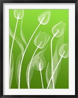 Floral Silhouette 4 Fine Art Print