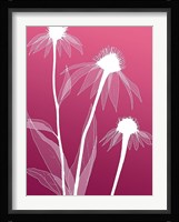 Floral Silhouette 5 Fine Art Print