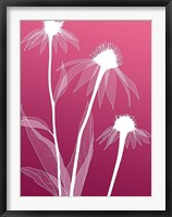 Floral Silhouette 5 Fine Art Print