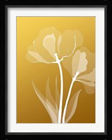 Floral Silhouette 6 Fine Art Print