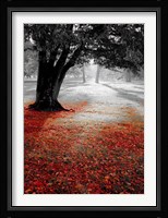 Autumn Contrast Fine Art Print