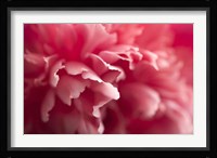 Nebula Fine Art Print