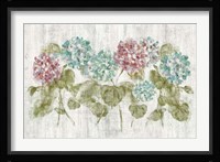 Vibrant Row of Hydrangea on Wood Fine Art Print