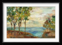 View of the Lake Framed Print