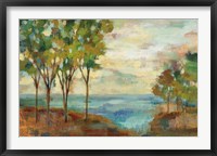 View of the Lake Framed Print