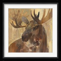 Into the Wild II Framed Print