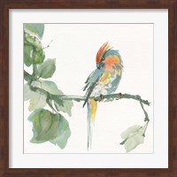 Crested Cockatoo Fine Art Print