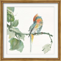 Crested Cockatoo Fine Art Print