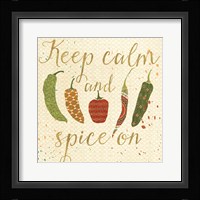 Mexican Fiesta VI Fine Art Print