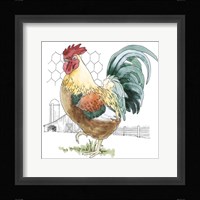 Fun at the Coop V Framed Print