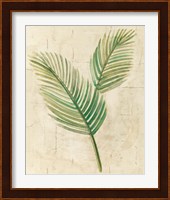 Sago Palm Leaves Neutral Crop Fine Art Print