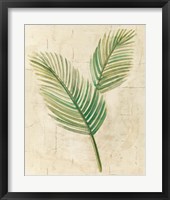 Sago Palm Leaves Neutral Crop Fine Art Print